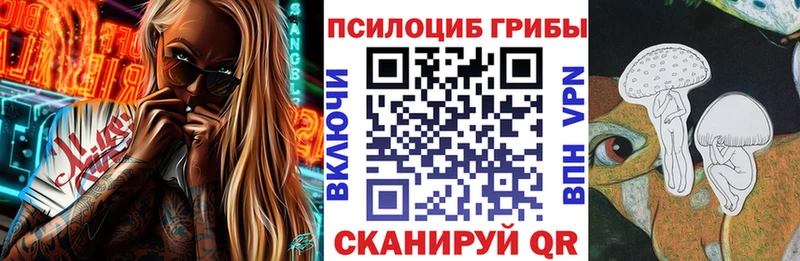 Псилоцибиновые грибы Cubensis  Купить  Артём 