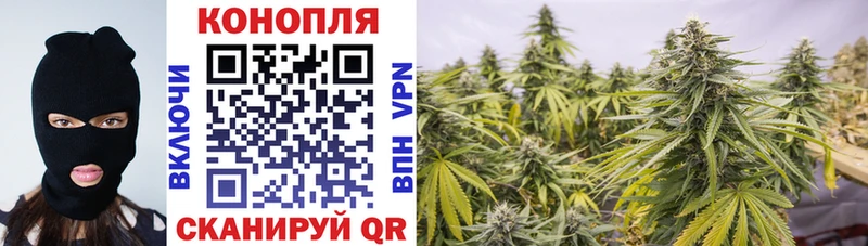 Купить  Артём  Шишки марихуана планчик 
